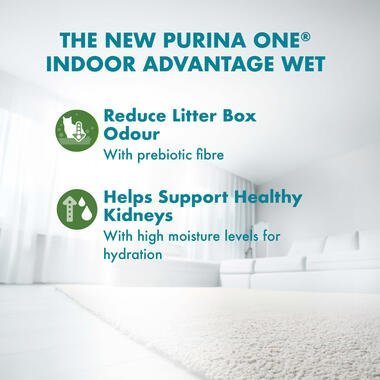 PURINA ONE® Adult Indoor Advantage with Chicken Wet Cat Food - 70G