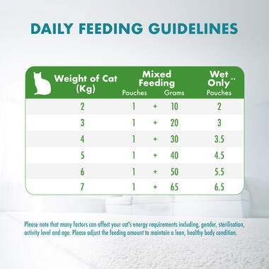 PURINA ONE® Adult Indoor Advantage with Chicken Wet Cat Food - 70G