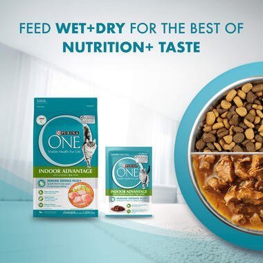 PURINA ONE® Adult Indoor Advantage with Chicken Wet Cat Food - 70G