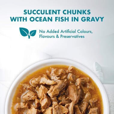 PURINA ONE® Healthy Adult with Ocean Fish Wet Cat Food - 70G