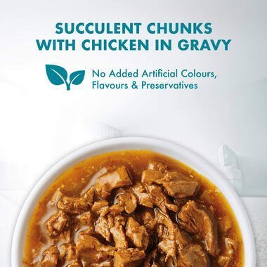 PURINA ONE® Adult Urinary Care with Chicken Wet Cat Food - 70G