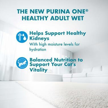 PURINA ONE® Healthy Adult with Ocean Fish Wet Cat Food - 70G