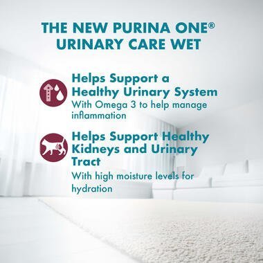 PURINA ONE® Adult Urinary Care with Chicken Wet Cat Food - 70G