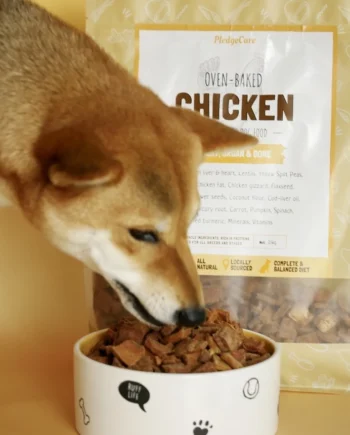 PledgeCare Dog Medium & Large Breed Dry Food Appetite & Coat Health Chicken (1.5kg-12kg)