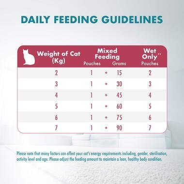 PURINA ONE® Adult Urinary Care with Chicken Wet Cat Food - 70G