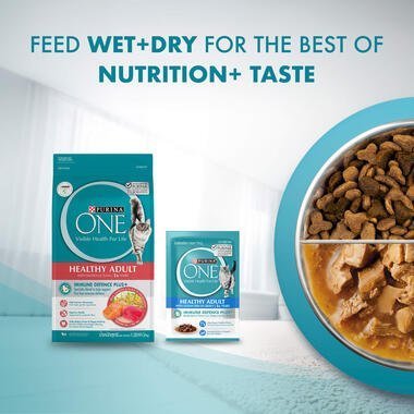 PURINA ONE® Healthy Adult with Ocean Fish Wet Cat Food - 70G