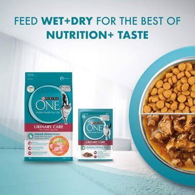 PURINA ONE® Adult Urinary Care with Chicken Wet Cat Food - 70G