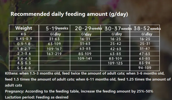 Orijen Cat Dry Food 90% Meat Content Grain Free Kitten Food High Protein for All Breeds Little Cats - 1.8KG