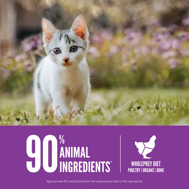 Orijen Cat Dry Food 90% Meat Content Grain Free Kitten Food High Protein for All Breeds Little Cats - 1.8KG