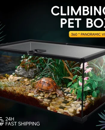Climbing Pet Box