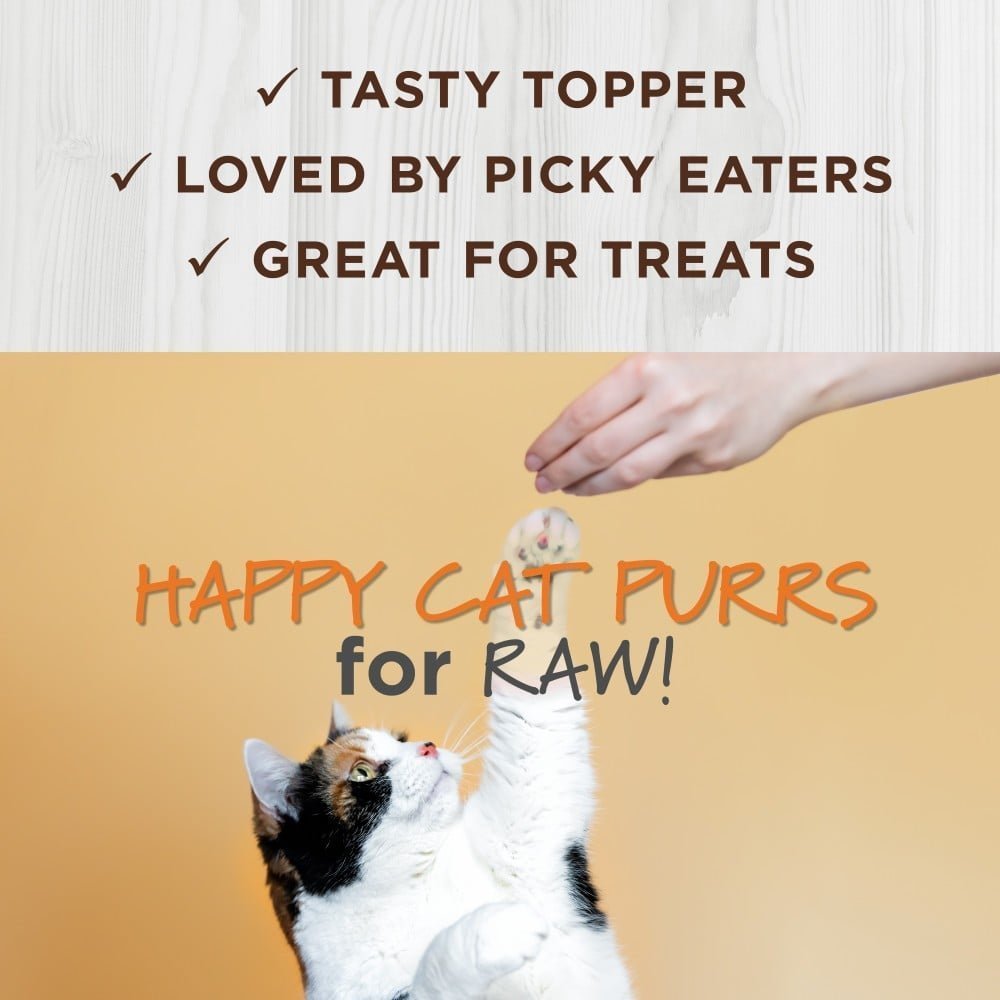 Instinct Cat Freeze-dried Raw Boost Mixers Grain-free Skin & Coat Cat Food Topper - 156G