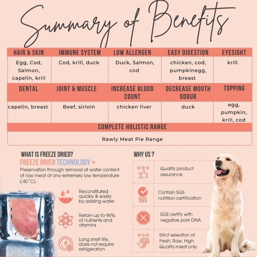 Amelisa Rawly Bites Mini Salmon Freeze Dried Treat - 50G