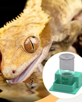 Ioensy Automatic Water Bowl for Reptiles with Bottle for Chameleons, Geckos And Turtles